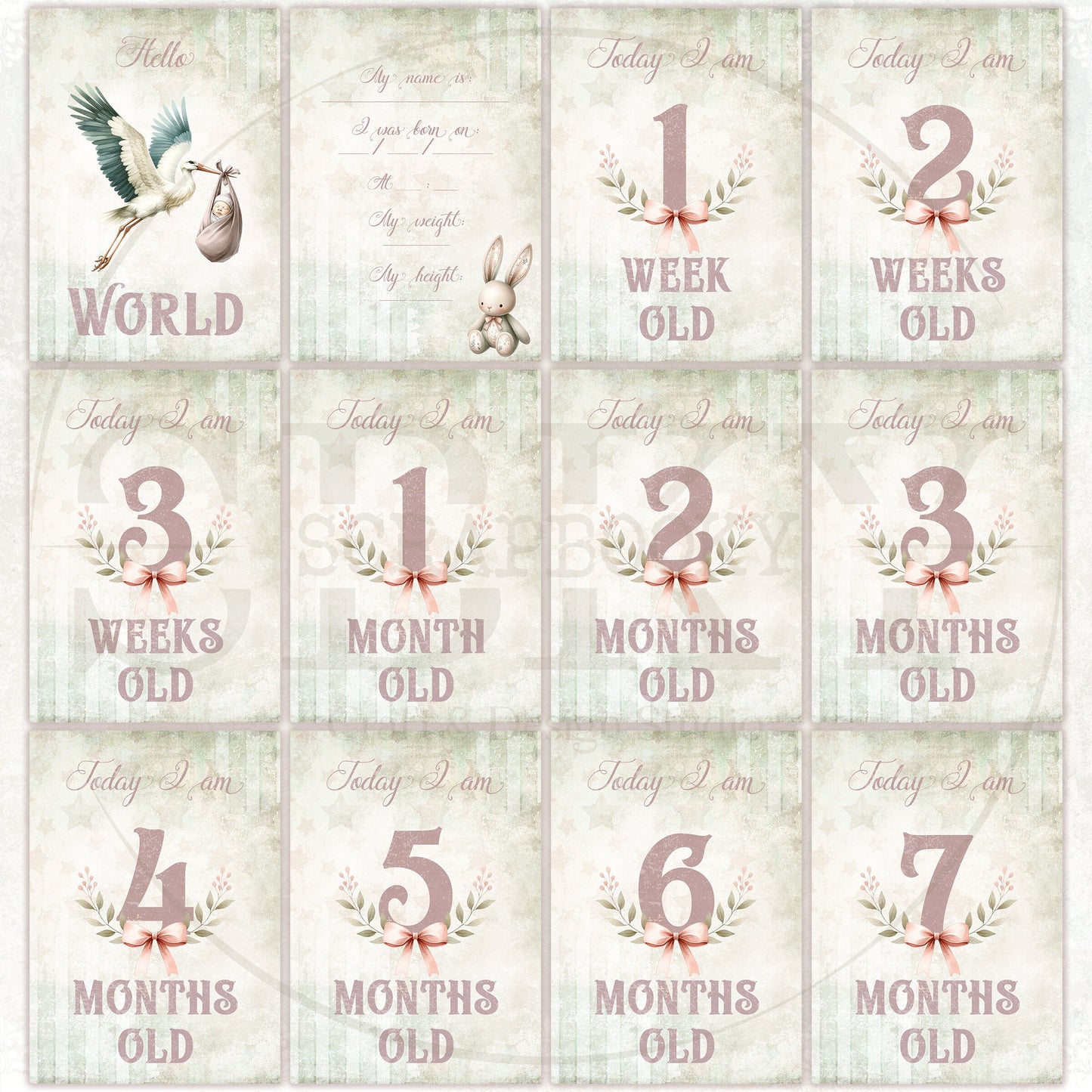 Baby Girl Milestone Cards