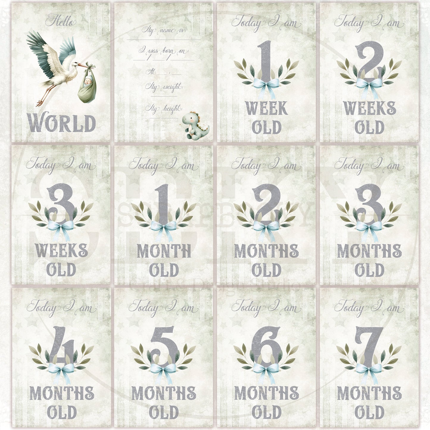 Baby Boy Milestone Cards