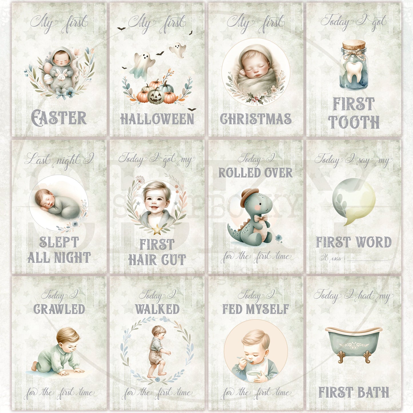 Baby Boy Milestone Cards