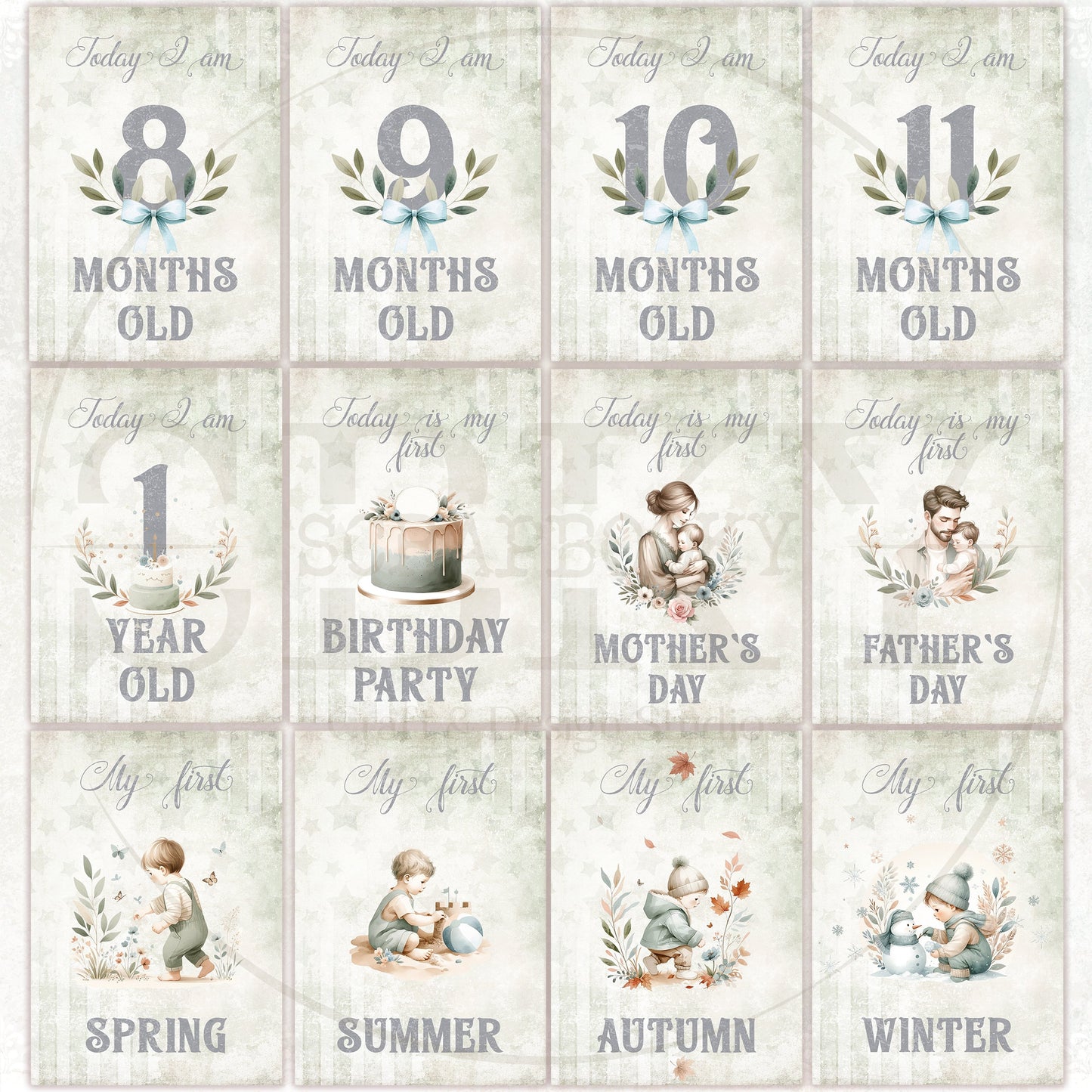 Baby Boy Milestone Cards