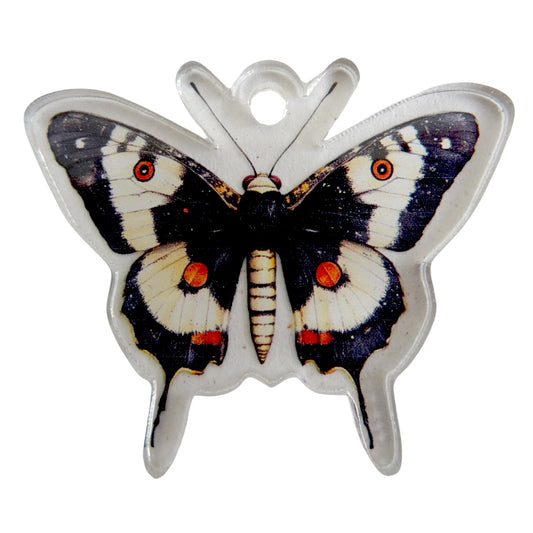Acrylic ornament "Butterfly"