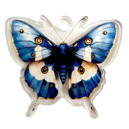 Acrylic ornament "Butterfly"