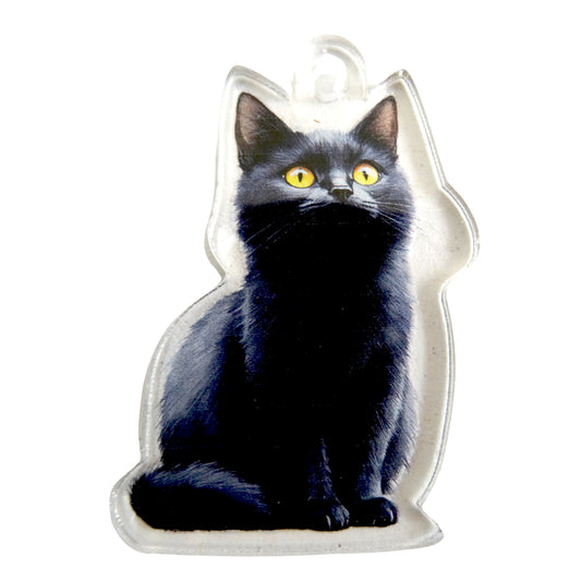 Acrylic ornament "Black Cat"