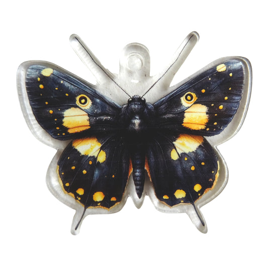 Acrylic ornament "Butterfly"