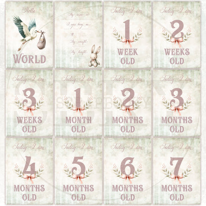 Baby Girl Milestone Cards