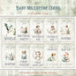 Baby Boy Milestone Cards