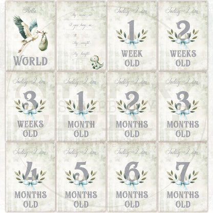 Baby Boy Milestone Cards