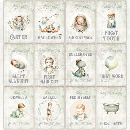 Baby Boy Milestone Cards