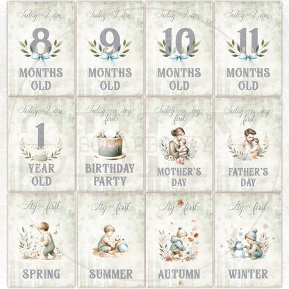 Baby Boy Milestone Cards